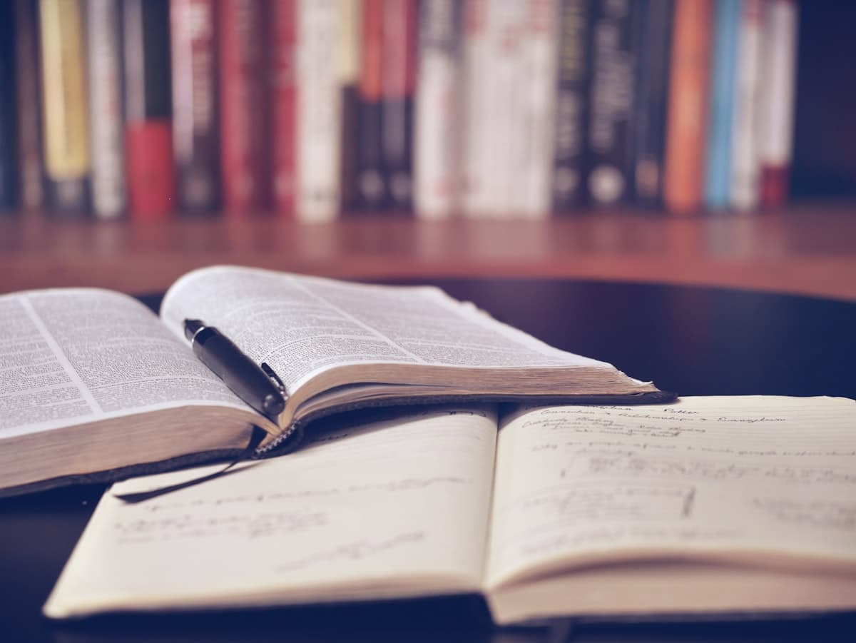 Student reviewing common TOEFL grammar mistakes to improve writing score